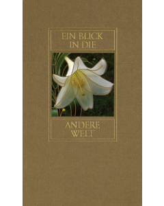 Ein Blick in die andere Welt